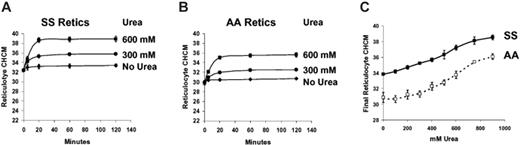 Figure 5. Concentration dependence of urea-stimulated volume reduction in unswollen reticulocytes. Fresh cells were washed and incubated without prior nystatin treatment in HBS pH 7.4, with no urea (control) or with urea at concentrations indicated. Initial CHCM values reflect in vivo CHMC. (Symbols represent means of 3 independent experiments, with error bars depicting SEM where larger than the symbol.) (A) SS reticulocytes. (B) AA reticulocytes. (C) Dependence on urea concentration of reticulocyte CHCM after 2 hours of incubation for SS (filled symbols) and AA (open symbols) cells.
