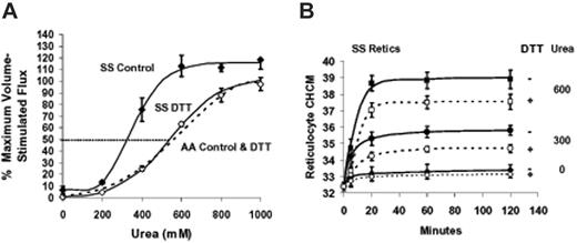 Figure 7. Effect of DTT treatment on urea stimulation of KCC and volume reduction in reticulocytes. Fresh cells were washed and preincubated 1 hour without (control, filled symbols) or with 10 mM DTT (open symbols) as described in “Materials and methods,” under “Dithiothreitol treatment.” Points are mean ± SEM (n = 4); curves were drawn by eye. A parallel set of experiments with AA RBCs ± DTT are represented by a dashed line drawn by eye to fit the data points, which were omitted for clarity. (A) Rb influx measured at various urea concentrations in HBS pH 7.4. Parallel measurements in cells swollen to CHCM less than 270 g/L (27 g/dL) by nystatin treatment (± DTT pretreatment) provided a measure of maximal volume stimulated flux for normalizing data. Data are means ± SEM from 3 experiments independent from Figure 1. DTT pretreatment had no effect on urea stimulation of KCC in AA RBCs; data from cells incubated with and without DTT were combined to calculate the dashed line representing AA cells. (B) Effect of DTT and urea on volume reduction in SS reticulocytes. Unswollen cells were incubated as in Figure 4 at indicated urea concentrations, either without (filled symbols) or with (open symbols) DTT pretreatment. CHCM at 120 minutes was lower with DTT treatment at both 300 and 600 mM urea (P < .003 and P < .03, respectively, n = 3).