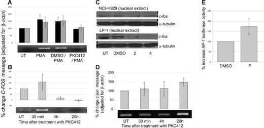 Figure 2. PKC412 induces modulation of c-fos and c-jun and increases AP-1 transcriptional activity. (A) RT-PCR of C-FOS following 90-minute pretreatment with PKC412 (10 μM) or DMSO (1:1000) followed by 30 minutes of PMA (100 nM) stimulation. (▪ indicates LP-1; ⊡, OPM2). Graph represents data from 2 individual experiments. Representative image shown. (B) RT-PCR of C-FOS following PKC412 (10 μM) for 30 minutes, 4 hours, and 20 hours (⊡ indicates NCI-H929). Graph represents data from 2 individual experiments. Representative image shown. For both panels A and B, Scion Image (Scion, Frederick, MD) was used for densitometric analysis. (C) Reduction in nuclear expression of c-fos after 24 hours of treatment with 2 μM and 4 μM PKC412 was determined by Western blot. (D) RT-PCR of C-JUN after PKC412 (10 μM) treatment for 30 minutes, 4 hours, and 20 hours (⊡ indicates NCI-H929). Graph represents data from 2 individual experiments. Representative image is shown. (E) PKC412 (P) (5 μM) treatment induces transcriptional activation of AP-1 as determined by luciferase assay (measured after 18 hours of treatment) (⊡ indicates NCI-H929). Graph represents results from 2 experiments. Error bars for all graphs indicate SEM.