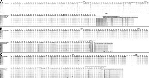 Figure 2. Rearranged immunoglobulin variable region heavy chain and light chain sequence analysis of 20 single sorted cells from CLL subject 151. Sequence alignment for 8 subgroups (A-H) of the VH3-23 (A), Vk2-A19/A3 (B), and VL8a (C) immunoglobulin genes sequenced from 20 single CLL cells from subject 151. Complete paired sequencing data from the VH3-23, Vk2-A19/A3, and VL8a immunoglobulin genes were available from only 20 single CLL cells. This accounts for the different numbers presented in this figure compared with Table 2. Dashes signify identical bases, and dots represent the absence of bases compared with the germ line genes for VH3-23, Vk2-A19, and VL8a. Replacement mutations are shown in uppercase, and silent mutations are shown in lowercase.
