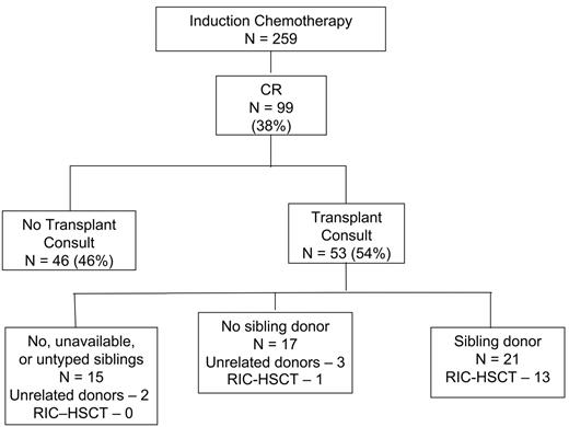 Figure 1. Patient flow. Although HLA-matched unrelated donors were found for 2 of the 15 patients with no, unavailable, or untyped siblings, no RIC-HSCTs were performed in this group. HLA-matched unrelated donors were found for 3 patients whose siblings were not HLA matched; one RIC-HSCT was performed.