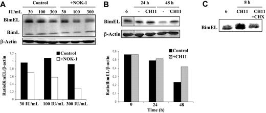 Figure 3. FasL is implicated in maintaining high levels of Bim expression in normal human T-cell blasts. (A) Day-6 T-cell blasts were cultured for an additional period of 48 hours in the presence of increasing doses of IL-2, as indicated, and in the presence (+NOK-1) or absence (Control) of 1 μg/mL of the anti-FasL–blocking mAb NOK-1. (B) Day-6 T-cell blasts were cultured for 24 or 48 hours, as indicated, in the absence (−) or presence of 100 ng/mL of the anti-Fas mAb CH-11 (CH11). (C) Day-6 T-cell blasts were cultured for 8 hours in the absence or presence of 100 ng/mL of the anti-Fas mAb CH-11, alone (CH11) or in combination with 1 μg/mL cycloheximide (CH11+CHX). After all the incubations described, cell extracts were obtained and anti-Bim or anti–β-actin immunoblots were performed. In panels B and C, extracts from day-6 T-cell blasts were also analyzed for comparison (noted as “6”). The extracts used correspond to 1 × 106 cells, and the expression level of BimEL was quantified in a densitometer and normalized to the same amount of β-actin. The results obtained for the BimEL/β-actin ratios are shown in panels A and B. Results are representative of experiments performed with T-cell blasts from at least 4 different healthy donors. The samples shown in each immunoblot panel were run in the same gel. The vertical lines inside the subpanels in panel B indicate that lanes were cut from the same immunoblot membrane.