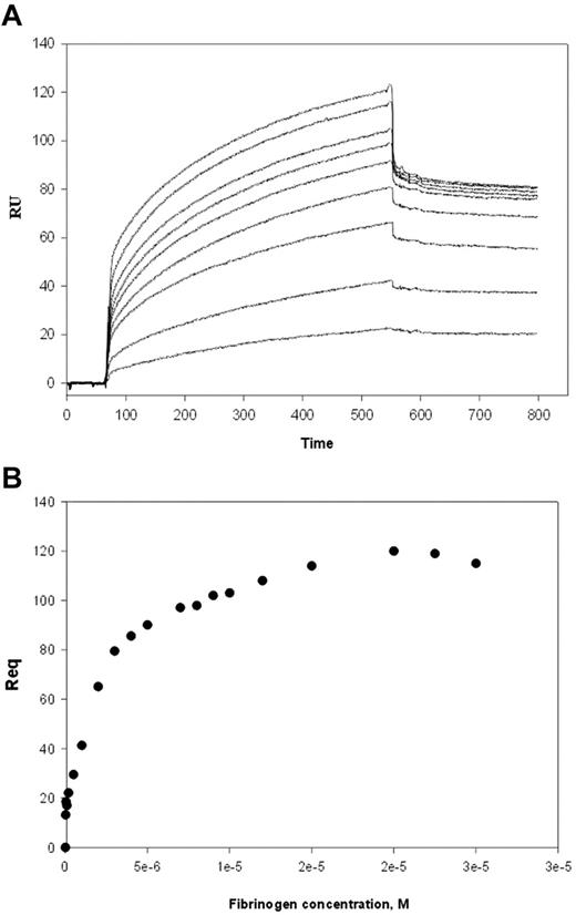 Figure 3. Analysis of the interaction of fibrinogen with fibrin by SPR. (A) Representative profiles of the SPR responses (RU) for fibrinogen concentrations ranging from 0.1 μM to 11 μM binding to fibrin coupled to the chip surface. Fibrin was prepared by coupling of intact fibrinogen to the chip followed by its activation with thrombin and inactivation of thrombin with PPACK as described in “Materials and methods.” RU indicates response units. (B) Saturable binding curve. Req is the response at equilibrium.