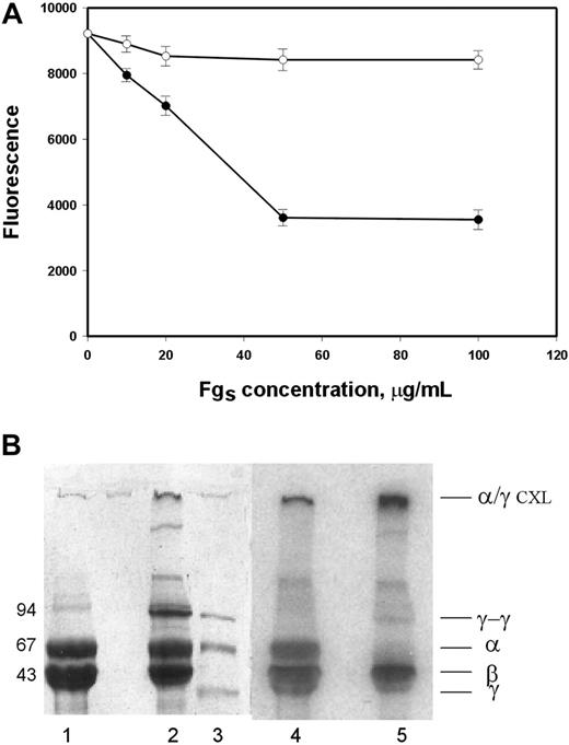 Figure 6. Effect of soluble fibrinogen on adhesion of U937 cells to the fibrin gel. (A) Fibrin gels were formed in 96-well format strips by mixing 100 μL of 2 mg/mL fibrinogen in HBSS with 0.5 U/mL thrombin in the absence (•) or presence (○) of factor XIIIa (10 μg/mL). After polymerization for 2 hours at 37°C, thrombin was inactivated by adding PPACK (50 μM). The gels were incubated with different concentrations of fibrinogen for 15 minutes at 37°, solutions above the gels were aspirated, and the gels were incubated for another 2 hours at 37°C. Adhesion assays with U937 cells were performed as described in Figure 1. (B) Fibrin gels were polymerized with or without FXIIIa and incubated with aliquots of 125I-fibrinogen (100 μg/mL, 2 ×107 cpm/mL) as described in panel A. Unbound label was removed by washing; the gels were collected by winding on glass rods, dissolved in 1% SDS containing 10 mM DTT, and electrophoresed through 12% SDS–polyacrylamide gel electrophoresis. After coomassie blue staining (lanes 1-3), gels were subjected to autoradiography (lanes 4-5). Lanes 1 and 4, samples without, and lanes 2 and 5, with FXIIIa added. Lane 3, markers with molecular weights shown on the left. Positions of fibrin α-, β-, and γ-chains, as well as γ-γ dimer and cross-linked α/γ-polymers are shown on the right.