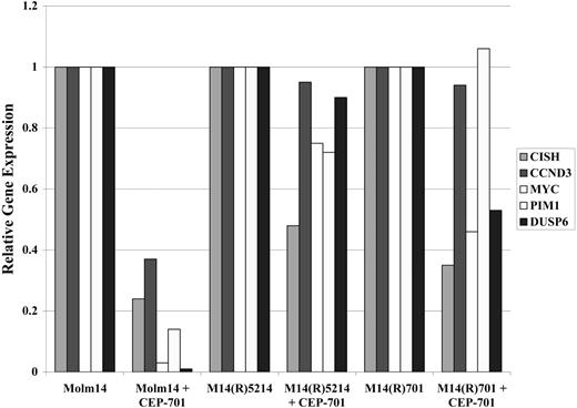 Figure 3. FLT3 TKI-resistant M14(R)5214 and M14(R)701 cell lines maintain higher expression levels of 5 genes regulated by FLT3 signaling and required for FLT3-mediated cellular transformation despite FLT3 inhibition. Molm14, M14(R)5214, and M14(R)701 cell lines were treated with 50 nM CEP-701 for 4 hours prior to isolation of total RNA. The RNA was converted into cDNA and used for Q-PCR analysis. Target gene expression was normalized to GAPDH.