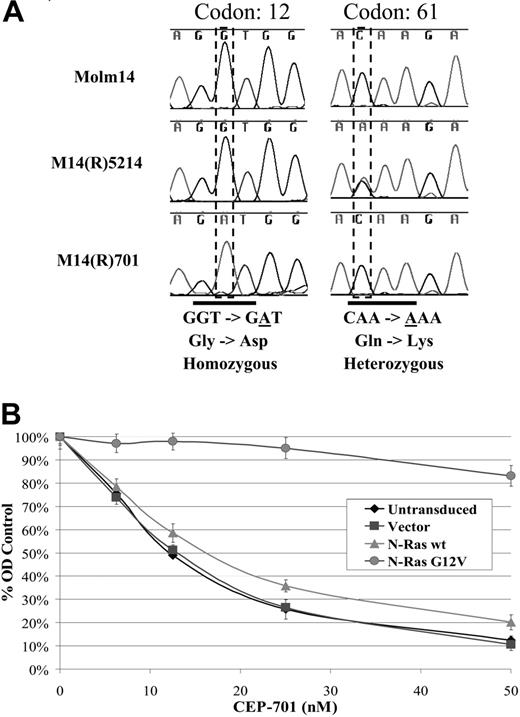 Figure 4. Activating N-Ras mutations were found in the M14(R)5214 and M14(R)701 cell lines and play a role in resistance to FLT3 TKIs. (A) Sequence analysis of cDNA from the Molm14, M14(R)5214, and M14(R)701 cell lines. (B) Molm14 and Molm14 cells (300 000 cells/mL) transduced with the lentiviral vector, wt N-Ras or N-Ras G12V, were treated with CEP-701 for 48 hours at 37°C. Cellular activity/proliferation was determined using the MTT assay in triplicates. Error bars represent standard error of the mean (SEM).