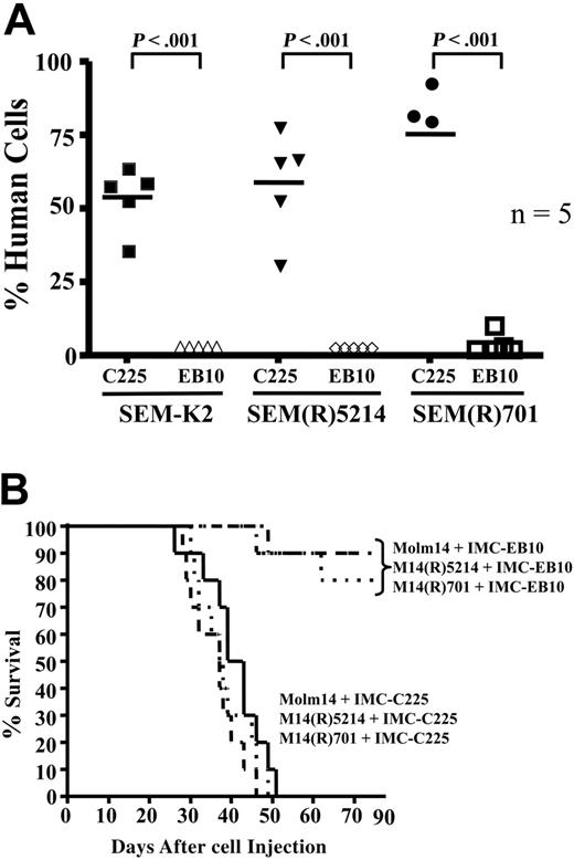 Figure 7. IMC-EB10 treatment still reduces leukemic engraftment and prolongs the survival of NOD/SCID mice injected with FLT3 TKI-sensitive or -resistant cell lines. (A) NOD/SCID mice, in groups of 5, were injected with 0.5 × 106 SEM-K2, SEM(R)5214, or SEM(R)701 cells via tail-vein injection. Starting 24 hours after cell injection, mice were injected intraperitoneally a total of 3 times with 400 μg IMC-C225 or IMC-EB10, given every other day. Mice were killed 30 days after cell injection, and bone marrow cells were obtained from femurs. Cells harvested from femurs were stained with hCD19-FITC, mCD45-PE, and hCD45-APC, and human engraftment was determined by flow cytometry. (B) NOD/SCID mice, in groups of 10, were injected with 0.5 × 106 Molm14, M14(R)5214, or M14(R)701 cells via tail-vein injection. Starting 24 hours after cell injection, mice were injected intraperitoneally a total of 3 times with 400 μg IMC-C225 or IMC-EB10, given every other day. Mice were monitored daily for survival.