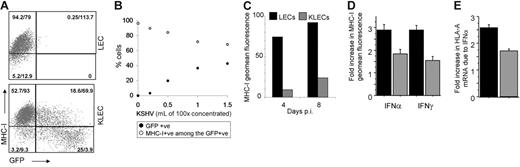 Figure 3. Down-regulation of MHC-I expression by KSHV. Results represent at least 3 independent infections with different KSHV batches and error bars correspond to standard deviation from the mean. (A) Representative dot plot of MHC-I expression in LECs and in KLECs, showing that MHC-I down-regulation increases with GFP expression (axes are logarithmic). The percent of cells of the total and geometric mean (geomean) fluorescence are shown for each quadrant. (B) Increasing amounts of KSHV resulted in a proportionate increase of GFP-expressing cells and decrease of MHC-I+ cells among the infected cells; •, percentage of GFP-expressing cells after infection; ○, percentage of MHC-I–expressing cells among the GFP+ cells. (C) Representative experiment of levels of MHC-I fluorescence at 4 and 8 days after infection for LECs (▪) and GFP expressing KLECs (⊡). (D) Induction of MHC-I surface expression by IFN. LECs and KLECs (3 days after infection) were cultured for 24 hours in the presence of IFN-α (150 U/mL) or IFN-γ (1000 U/mL). The graph shows the fold increase in MHC-I expression in LECs and KLECs after IFN treatment compared to MHC-I expression of untreated LECs and KLECs, respectively. (E) Fold increase in HLA-A mRNA levels in LECs and KLECs after IFN-α treatment. Expression of HLA-A in noninfected and infected cells is normalized to HLA-A levels of untreated LECs and KLECs, respectively. In panels C-E, ▪, LEC levels; ⊡, KLEC levels.