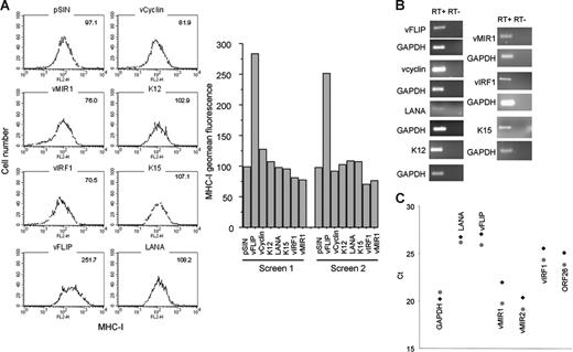 Figure 4. Regulation of MHC-I by KSHV transcripts. (A) Histograms showing the levels of MHC-I expression in LECs expressing 6 KSHV genes. Geomean fluorescence is shown at the upper right corner of each histogram. The results from 2 independent screens are also shown (bar graphs). vMIR1 was used as a control for MHC-I down-regulation. MHC-I levels were determined 3 days after infection. (B) RT-PCR confirming expression of viral transcripts in LECs infected with the lentiviral constructs used for the screen. Second column shows the non-RT controls for each gene. GAPDH was used as a housekeeping control gene. (C) qRT-PCR analysis of KLECs (3 days after infection) for expression of GAPDH, LANA, vFLIP, vIRF1, vMIR1, vMIR2, and ORF26 in KLEC (♦) and purified by cell sorting (4 days after infection) GFP-expressing KLEC (). Ct values (y-axis) indicate the cycle number where PCR products become detectable. Lower Ct values correspond to higher average mRNA expression.