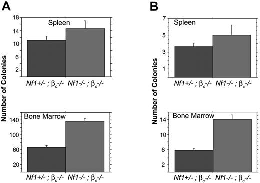 Figure 3. Recipients of Nf1−/−βc−/− bone marrow have increased CFCs and CFU-Ss. (A) Spleen and bone marrow cells from 5 secondary mice given transplants with Nf1−/−, βc−/− or 4 secondary mice given transplants with Nf1+/−, βc−/− fetal stem cells were assayed for CFU-GMs, -Gs, -Ms, and -GEMMs and erythroid burst-forming units. Spleen cells from animals given transplants do not show a significant difference from sample to sample, P = .164. Bone marrow plated from 5 mice given transplants with Nf1−/−, βc−/−or Nf1+/−, βc−/− fetal stem cells have a significantly higher number of cells capable of colony formation than the Nf1+/−, βc−/− transplants, P < .001. (B) Spleen and bone marrow cells from 6 mice given transplants with Nf1−/−, βc−/−or 9 mice given transplants with Nf1+/−, βc−/− fetal stem cells were injected intravenously into mice irradiated with 750 rads to assay for CFU-Ss. Injected spleen cells do not show a significant difference from sample to sample, P = .228. Bone marrow cells in animals given Nf1−/−, βc−/− transplants have a significantly higher number of CFU-S progenitor cells than the Nf1+/−, βc−/− transplants, P < .001. Error bars indicate SE.