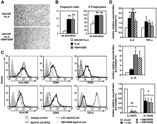 Figure 1. GSK-3 inhibits macrophage differentiation of human monocytes. CD14+ monocytes were cultured for 5 days in the presence of GM-CSF and IL-4. The GSK-3 inhibitors LiCl (10 mM), SB415286 (10 μM), and SB216763 (10 μM) were added on day 0. After 5 days of culture, cells were either tested in phagocytosis assay or were activated with intact E coli (1:1000; “Materials and methods”) for an additional 36 hours and examined for phenotypic maturation and cytokine secretion. (A) Photomicrographs of DC culture on day 5 in the absence (top panel) or presence (bottom panel) of the GSK-3 inhibitor (SB415286). One representative of 6 cultures is shown. Similar results were observed in the presence of LiCl and SB216763. (B) Phagocytosis of day-5 cultures with and without GSK-3 inhibitors. (Left panel) Phagocytic index (number of yeast particles per cell). (Right panel) Proportion of cells containing yeast particles. Shown are the means ± SD; n = 4. *P < .05; **P < .01. (C) Flow cytometric analysis of DC surface maturation marker expression following activation with E coli for 36 hours. One representative of 4 experiments is shown. (D) Cytokine secretion of E coli–activated cells. Supernatants were harvested 36 hours following activation. Absolute cytokine levels of E coli–activated MoDCs (set 1): IL-12p70: 5.4 ± 2.5 ng/mL; IL-12p40: 22.2 ± 7.9 ng/mL; IL-6: 28.1 ± 20 ng/mL; IL-10: 2.3 ± 2.3 ng/mL; and TNF-α: 10.6 ± 9.5 ng/mL. Shown are the means ± SD; n = 7-10. *P < .05; **P < .01.