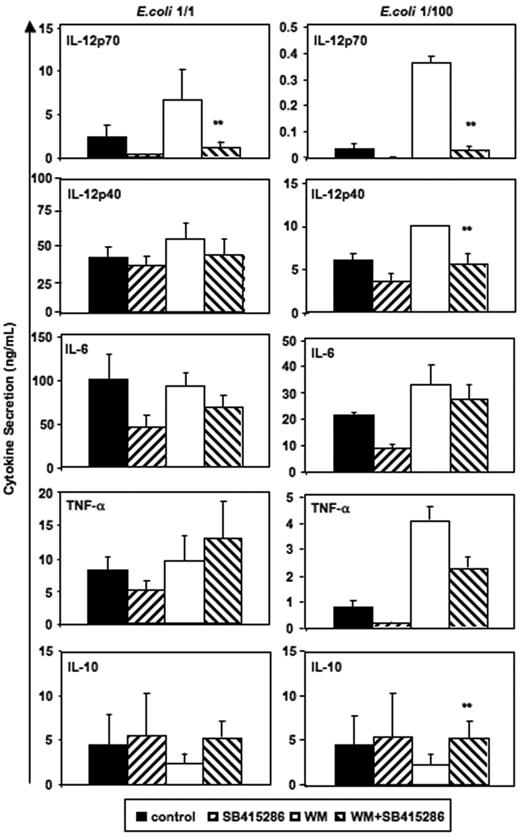 Figure 6. Reverse effects of PI3K and GSK-3 on IL-12 and IL-10 secretion. Immature MoDCs were prepared and activated as in Figure 2. SB415286 (10 μM) and wortmannin (WM, 100 ng/mL) were added 20 minutes prior to activation; E coli were used in 2 concentrations (1:1 and 1:100; “Materials and methods”). Supernatants were harvested 36 hours after activation. Shown are means ± SEM; n = 8 (E coli, 1:1) and n = 4 experiments (E coli, 1:100). **P < .01 (comparison of WM vs WM + SB415286 only).