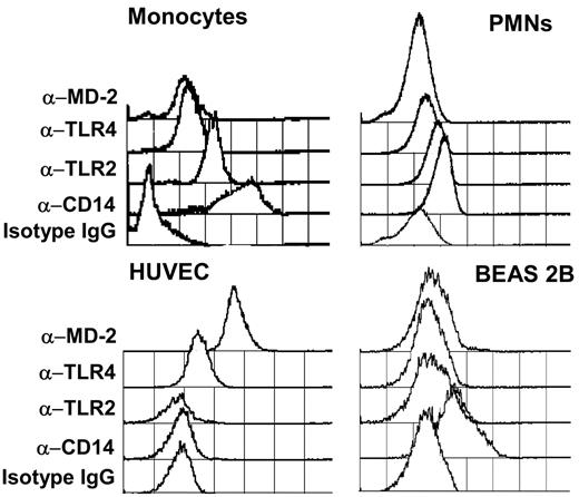 Figure 1. Flow cytometry quantification of the expression of CD14, TLR2, TLR4, and MD-2 on human monocytes, polymorphonuclear neutrophils, human umbilical vein endothelial cells (HUVECs), and human bronchial BEAS 2B cells. Antibodies (5 μg/mL) were incubated with cells, and binding was revealed with an APC-conjugated goat anti–mouse IgG secondary antibody.