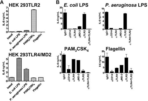 Figure 2. PAMP activity on various human cell types. (A) Activity of PAMPs on HEK 293 cells transfected with either TLR2 (top) or TLR4/MD-2 (bottom). Concentration of PAMPs were as follows: E coli LPS (100 ng/mL) and P aeruginosa LPS (1 μg/mL), PAM3CSK4 (200 ng/mL), and flagellin (1 μg/mL). (B) Inhibitory effects of mAbs specific to CD14, TLR4, MD-2, and TLR2 (10 μg/mL) on the activation of human whole blood (IL-6 secretion) by PAMPs. E coli LPS (4 ng/mL) and P aeruginosa LPS (100 ng/mL), the synthetic PAM3CSK4 lipopeptide (100 ng/mL) and flagellin (300 ng/mL). Duplicates were performed for all conditions tested. This represents 1 representative experiment of 3. Error bars show ± standard error of the mean (SEM).