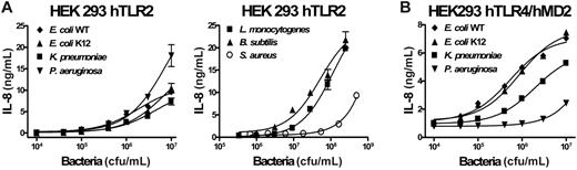 Figure 3. Dose-dependent induction of IL-8 secretion by heat-inactivated bacteria in HEK 293 cells stably transfected with human TLR2 or human TLR4/MD-2. TLR2 is shown in panel A or human TLR4/MD-2 in panel B. Duplicates were performed for all conditions tested. This represents 1 of 2 representative experiments. Error bars show ± SEM.