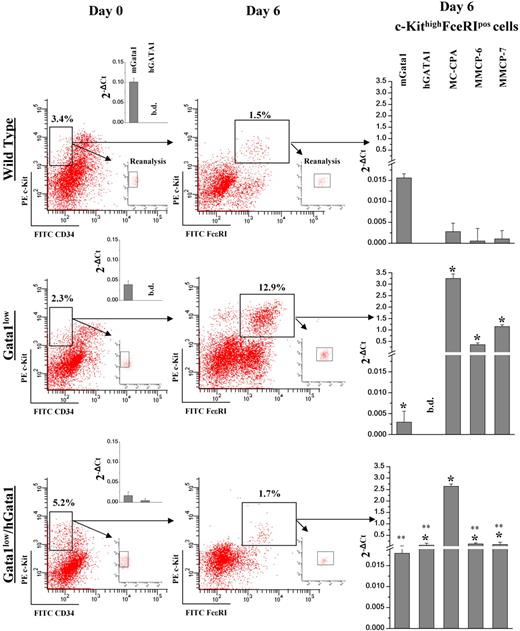 Figure 6. MEPs isolated from Gata1low/hGATA1 mice generate few mast cells in BMMC cultures. The gate used to isolate cells with the MEP phenotype (c-Kit+CD34−) from the marrow of Gata1low/hGATA1 mice and Gata1low littermates, as well as from wild-type controls, is presented in the panels on the left, which also include reanalysis for purity (> 95% in all cases) and the levels of mGata1 and hGATA1 gene expressed in the sorted cells (as measured by a specific real-time RT-PCR). The frequency of c-KithighFcϵRI+ cells in the progeny of MEP purified from the different animals after 6 days of BMMC cultures is presented in the middle panels. The c-KithighFcϵRI+ cells obtained in the different cultures were purified by sorting (> 95% pure by reanalysis) and analyzed, by real-time RT-PCR, for mGata1 and hGATA1 expression, as well as for expression of mast cell markers, as shown in the right panels. Expression levels are presented as mean ± SD of 2−ΔCt obtained in three separate experiments per group of mice. Values statistically (P < .01) different from those expressed by wild-type and Gata1low cells are indicated by single and double asterisks, respectively.