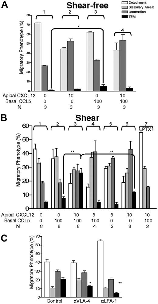 Figure 2. Effect of apical CXCL12 and shear on lymphocyte TEM toward subendothelial (basal) CCL5 and contribution of α4 or αL integrins. (A) T cells in contact with TNF-α–activated HUVECs under shear were observed during a shear-free (static) period in the presence or absence of specified chemokines (note that rate of detachment was not measured in this analysis because the objective was to assess TEM of adherent cells). (B) Lymphocytes contacting endothelium were analyzed for the indicated migratory categories under continuous shear flow. Concentrations of apical CXCL12 are indicated and were presented with or without basal CCL5 (100 ng/mL). For inhibition of Gi proteins, lymphocytes were incubated overnight in culture medium with 100 ng/mL PTX. (C) Effects of blocking α4 (VLA-4) or αL (LFA-1) integrins on the indicated adhesive and migratory phenotypes of T cells. Cells were pretreated with indicated blocking mAbs (10 μg/mL) for 10 minutes and were perfused into the chamber in medium containing 1 μg/mL of the respective mAbs and chemokine configurations identical to those used in panel B group 3. Migratory phenotypes developing under persistent shear stress were analyzed as in Figure 1. Data are mean ± SEM from 4 experiments that used different lymphocyte donors and HUVEC preparations. *P < .05; **P < .01.