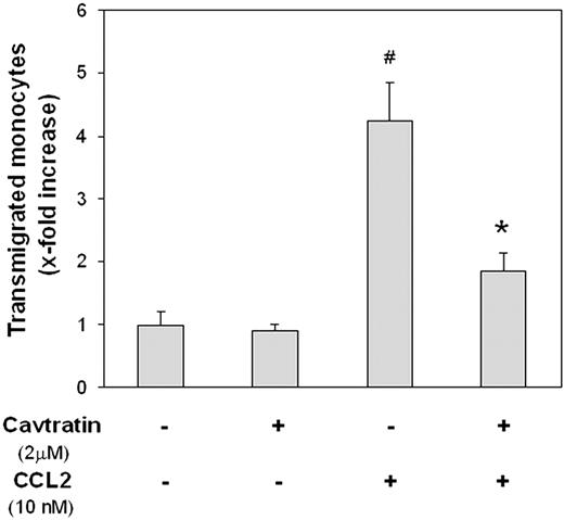 Figure 7. Cavtratin inhibits CCL2-stimulated migration of monocytic cells across BMECs. BMECs were cultured to confluence and then pretreated with 2 μm cavtratin added to both the top and bottom Transwell chambers. After 24 hours, monolayers were washed, fresh media containing WEHI cells were added to the top chamber, and CCL2 (10 nM) was applied to the lower chamber. At 18 hours after the application of chemokine, transmigrated WEHI cells were collected from the lower chamber and quantified as detailed in “Materials and methods.” Relative transmigration was calculated as x-fold increase over control (lacking both CCL2 and cavtratin). The data are presented as mean ± SE and represent 3 independent experiments performed in triplicate. #P < .01 when compared with control; *P < .01 when compared with 10 nM CCL2 treatment alone.