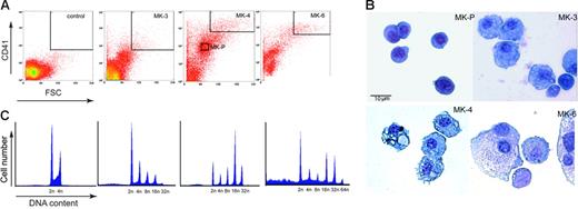 Figure 1. Isolation of mouse MK populations at successive stages of maturation. (A) Cells harvested on different days of fetal liver culture were labeled with CD41 antibody and sorted by flow cytometry, using gates suited to the forward-scatter (FSC; size) and CD41 expression level (fluorescence) of MKs. Parameters chosen for isolating MK-3, MK-P, MK-4, and MK6 are boxed within the corresponding plots. (B) May-Grünwald-Giemsa–stained cells representing the 4 MK populations sorted by flow cytometry. (C) Profiles of the DNA content of the sorted MK populations, labeled with propidium iodide and analyzed by flow cytometry.