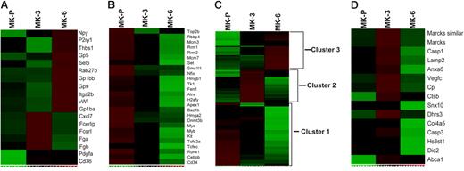 Figure 2. Gene-expression analysis of MK differentiation. Relative mRNA expression of individual genes (rows) is shown for 3 MK populations (columns) on a scale from low (green) to high (red) levels. (A) Relative expression of known MK/platelet transcripts in the 3 populations, indicating that abundant platelet genes are highly represented in mature MKs compared with MK-P and that some markers are activated earlier than others. (B) Partial representation of transcripts that are highly expressed in MK-P and subsequently extinguished. (C) Hierarchical clustering of the 594 probe sets identified through analysis of variance (ANOVA) in MK populations, revealing clusters that correspond well with successive stages. (D) Of the 32 genes implicated in retinoic acid signaling, 15 are highly expressed in MK-3, which represents a significant overlap (highest GSEA rank in our analysis) and encompasses factors that function in diverse processes.