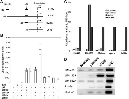 Figure 5. Lims1 is a direct transcriptional target of NF-E2. (A) Schema of reporter constructs with presence or deletion of putative NF-E2 binding sites, which are indicated in terms of their position relative to the transcription start site (+1). (B) Results of luciferase reporter assays for the Lims1 promoter region and its deletions variants. COS cells were transfected with the reporter (pGL3 or LIM series) construct in the presence or absence of p45 NF-E2 expression plasmid. (C) Quantitation of MK chromatin IP (ChIP) results for the 2 putative NF-E2 binding sites in the Lims1 promoter and controls. Immunoprecipitated DNA was amplified by qPCR and the abundance of individual fragments is normalized to that of input (pre-IP) DNA. LIM-495 and LIM-1939 amplify corresponding fragments in the Lims1 promoter and LIM-down interrogates sequences approximately 4 kb downstream; other controls test for IP of promoter fragments in the Apo1a and HistoneH4a genes. (D) Agarose gel electrophoresis of PCR fragments after ChIP. The signals for input DNA with all primer sets and for LIM-1939 after NF-E2 IP were saturated well before the 33 cycles of PCR applied in this experiment; all other signals seem to represent background. Error bars in (B) represent standard deviation.