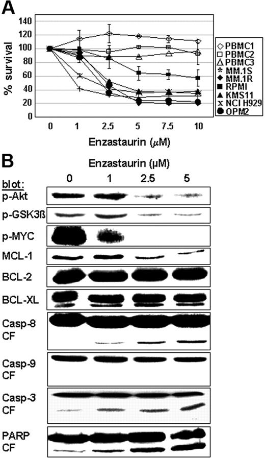 Figure 4. Enzastaurin induces MM-cell apoptosis. (A) Dose-related effects of enzastaurin on survival of MM cell lines and healthy donors. PBMC indicates peripheral blood mononuclear cell. MTT cleavage was measured during the last 4 hours of 48-hour cultures. (B) Protein profiling of MM cells exposed to enzastaurin. MM.1S cells were exposed to increasing concentrations of enzastaurin, followed by immunoblot analysis of the lysates with indicated antibodies.