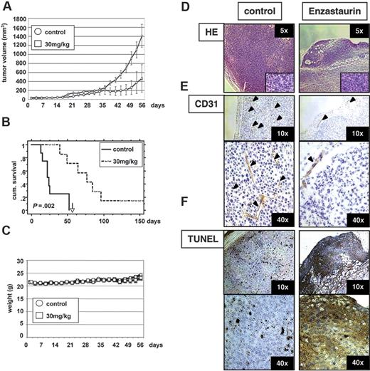 Figure 8. Low-dose enzastaurin markedly decreases tumor growth and angiogenesis in a xenograft mouse model. Beige-nude Xid mice were given subcutaneous inoculations in the right flank with 3 × 107 MM.1S cells. Treatment by oral gavage (vehicle alone or 30 mg/kg enzastaurin twice daily) was started when tumors were measurable. (A) Tumor burden was measured every alternate day using a caliper. Tumor volume is presented as means ± SE. (B) Survival was evaluated using Kaplan-Meier curves and log-rank analysis. (C) Body weight was evaluated 3 times a week. (D-F) Representative microscopic images of tumor sections are shown stained with hematoxylin and eosin (D), CD31 (E), and TUNEL (F).
