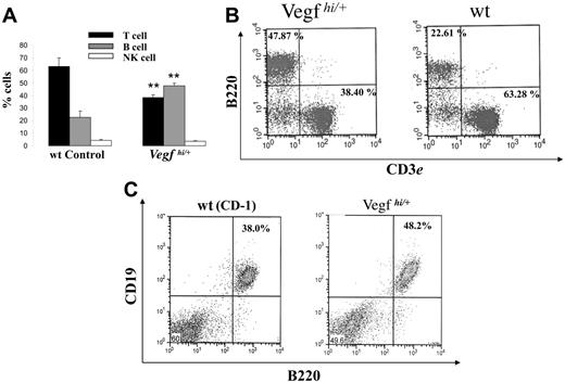Figure 2. Evaluation of hematopoietic phenotype of Vegfhi/+ and wt mice. Spleens from 8- to 10-week-old Vegfhi/+ and age-matched wt controls (n ≥ 3 mice/group) were harvested and prepared for enumeration of B, T, and NK cells by flow cytometry as described in “Materials and methods.” (A) Percentage of B, T, and NK cells from spleens of Vegfhi/+ and wt mice. **P < .05 when compared with wt control. (B) A representative dot plot of B220+ and CD3+ splenocytes from Vegfhi/+ and wt mice that were evaluated by flow cytometry. (C) A representative dot plot of B220+ and CD19+ splenocytes from Vegfhi/+ and wt control mice.