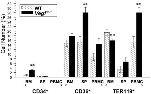 Figure 4. Analysis of hematopoietic progenitor phenotype of Vegfhi/+ and wt mice. Femurs, spleens, and blood were harvested from 8- to 10-week-old Vegfhi/+ and age-matched wt mice. Cells from all tissues were prepared for flow cytometry evaluation for the hematopoietic progenitor markers CD34, CD36, and Ter119. The results are plotted as percentage of the total cell population in each tissue (BM indicates bone marrow; SP, spleen, and PBMCs, peripheral blood mononuclear cells). **P < .05.