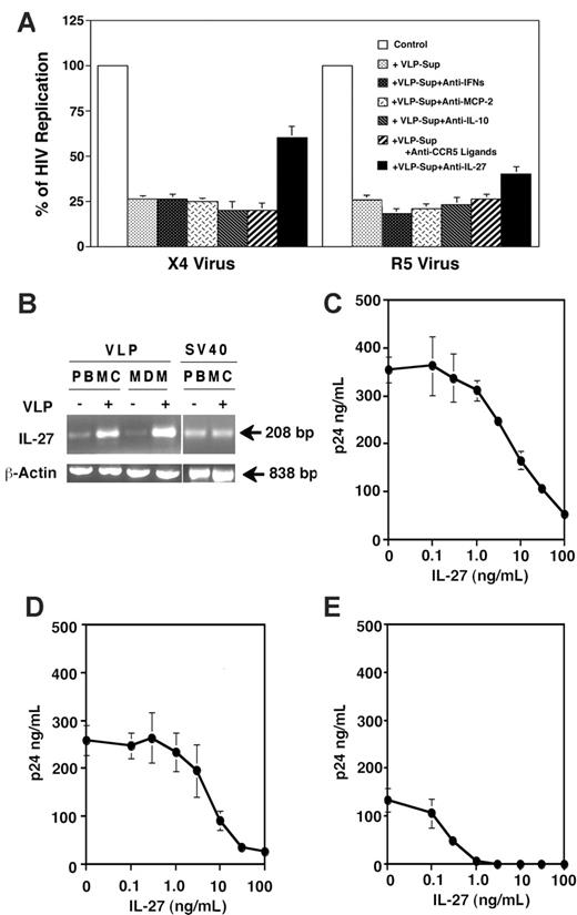 Figure 5. IL-27 suppresses HIV replication. (A) PHA-stimulated CD4+ T cells infected with X4 virus and PHA-stimulated PBMCs infected with R5 virus were cultured for 7 days in the absence or presence of 12.5% of VLP-Sup from PBMCs. To neutralize IFNs (IFN-α and IFN-β), MCP-2, IL-10, or CCR5 ligands, 10 μg/mL of each neutralizing antibody was added in the culture. To neutralize CCR5 ligands, an antibody mixture containing 10 μg/mL of each antibody to MIP-1α, MIP-1β, and RANTES was used. IL-27 in VLP-Sup from PBMCs was immunodepleted as described in “Materials and methods.” As a replication control, the infected cells were cultured in the absence of the VLP-Sup. On the 4th day after infection, 50% of culture supernatants were changed with fresh culture media alone. HIV-1 replication was measured by p24 antigen capture assay. The neutralization and the immunodepletion assay were performed at least 3 times, and results show the means ± SEs. (B) Relative expression of IL-27 mRNAs in PBMCs and MDMs were assessed by RT-PCR. PHA-stimulated PBMCs and MDMs were cultured in the absence or presence of 1 μg/mL VLPs for 36 and 24 hours, respectively. A total cellular RNA was isolated, and RT-PCR was performed as described in “Materials and methods.” As a control, RT-PCR was performed using RNA from SV40VLP-treated PHA-simulated PBMCs. (C-E) X4-infected CD4+ T cells (C) or PBMCs (D) were cultured in the presence of different concentrations of recombinant human IL-27. On the 4th day after infection, 50% of culture supernatants were changed with fresh culture media containing IL-27. HIV-1 replication was measured on 7th day by p24 antigen capture assay. MDMs were infected with R5 virus (E) and then cultured for 10 days in the presence of IL-27. Half of the culture supernatants were changed on the 4th and 7th day with fresh media with IL-27. HIV-1 replication was measured by p24 antigen capture assay. HIV-1 replication was measured by p24 antigen capture assay. Data show means ± SDs and are representative of 5 experiments.
