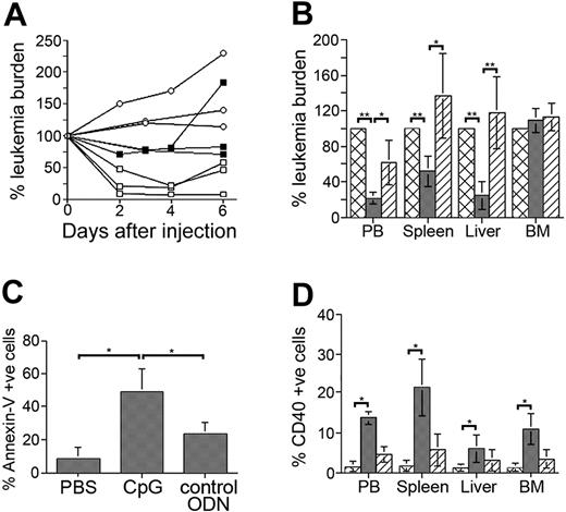 Figure 1. CpG ODNs stimulate ALL cells and induce systemic ALL cell death. (A) A199-bearing mice were treated with 300 μg CpG ODN (□), 100 μg CpG ODN (▪), or PBS (○) and monitored for leukemia cells in peripheral blood. Results presented are leukemia burden as percentage of burden for each animal immediately prior to CpG ODN or PBS administration. (B) A199-bearing mice with significant peripheral leukemia burden were treated with PBS (cross-hatched bars), CpG ODN (dark gray bars), or control ODN (diagonally striped bars) and killed 72 to 96 hours later. Organs were harvested and analyzed for the presence of leukemia cells. Results are presented as leukemia burden in treated mice as a percentage of burden in PBS-treated mice. PBS-treated mice are thus 100%. (C) The percentage of annexin V+ ALL cells in spleens from CpG ODN-treated and control-treated (PBS and control ODN) mice. (D) NOD/SCID mice bearing A199 leukemia cells were treated with PBS (cross-hatched bars), CpG ODN (dark gray bars), or control ODN (diagonally striped bars) and then killed 72 hours later. CD40 expression by ALL cells was then determined by flow cytometry. All results (except panel A) are presented as mean ± SD for at least 4 mice/group. **P < .005, *P < .05.