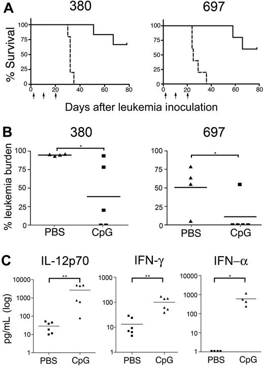Figure 3. The effect of CpG ODNs does not require direct ALL stimulation. Mice bearing 380 (directly responsive to CpG ODNs) or 697 (unresponsive to CpG ODNs) ALL cell lines were injected with CpG ODNs or PBS 2, 10, and 20 days after inoculation with leukemia cells (indicated by arrows) and monitored for morbidity and survival. (A) Survival curves of cell line–bearing mice. PBS-treated mice are indicated with a dashed line and CpG ODN-treated mice are indicated with a solid line. (P < .002 for 380 and P = .002 for 697; n = 5 mice/group). (B) Leukemia burden in the bone marrow of mice from panel A, measured at time of death. (C) Mouse cytokines IL-12p70 and IFN-γ (n = 6), and IFN-α (n = 4) present in the serum of PBS- and CpG-treated leukemia-free NOD/SCID mice. Bars indicate mean values for each group. **P < .005, *P < .05.