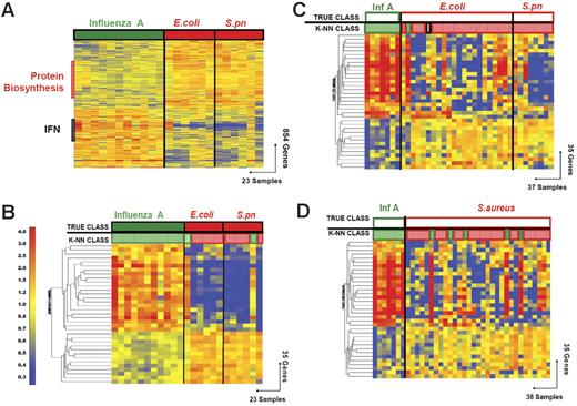 Figure 1. Discriminating patients with influenza A virus infection from patients with bacterial infections. (A) Hierarchical clustering of 854 genes obtained from Mann-Whitney rank test comparison (P < .01) between 2 groups: influenza A (Inf A, 11 samples, green rectangle) and bacterial infections (red rectangle) with E coli (E.coli, 6 samples) or S pneumoniae (S.pn, 6 samples). Transformed expression levels are indicated by color scale, with red representing relatively high expression and blue indicating relatively low expression compared to the median expression for each gene across all donors. The black bar indicates IFN-inducible genes (IFN), and the red bar indicates genes involved in protein biosynthesis. Genes are listed in Table S2. (B) A supervised learning algorithm was used to identify 35 genes presenting the highest capacity to discriminate the 2 classes (Tables 1–2 and S3). Leave-one-out cross-validation of the training set with 35 genes classified the samples with 91% accuracy. The predicted class is indicated by light-colored solid rectangles (green for influenza A and red for bacteria). Two patients with bacterial infections were misclassified. (C) The 35 classifier genes thus identified were tested on an independent set of patients (open rectangles), including 7 new patients with influenza A (green), 23 with E coli, and 7 with S pneumoniae (red) infections. The 37 samples in this test set were classified with 95% accuracy (predicted class is indicated by light-colored rectangles). One patient was misclassified and one patient was indeterminate in class prediction (gray box). (D) The 35 classifier genes identified in panel B were tested on an independent set of patients (open squares), including 7 new patients with influenza A (Inf A), and 31 with S aureus infections. The 38 samples were classified with 87% accuracy.