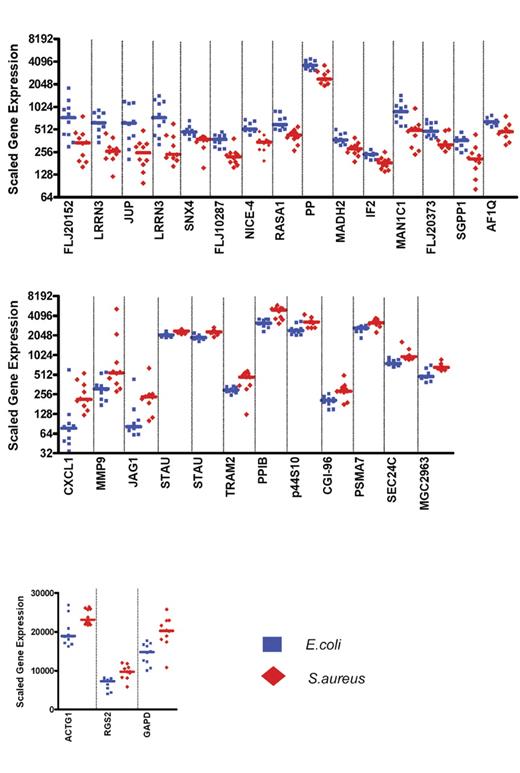 Figure 4. Expression levels of the 30 classifier genes discriminating patients with E coli infections from patients with S aureus infections. Scaled gene expression values (average difference intensity) are plotted for the 30 classifier genes represented Figure 3B that discriminate between samples from patients with E coli (10 samples, blue squares) and S aureus infections (10 samples, red diamonds). Each plot represents one sample, lines represent median expression.