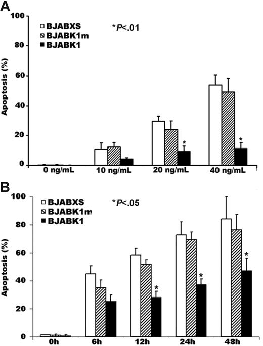 Figure 2. Suppression of anti-Fas antibody–induced apoptosis in BJAB K1 transfectants. (A) Aliquots of cells were incubated for 24 hours with the anti-Fas antibody CH-11, stained with Hoechst 33342, and examined microscopically for morphologic features of apoptosis. Apoptosis rates in 4 wells were significantly lower in BJABK1 cells than in BJABK1m and BJABXS cells treated with 20 or 40 ng/mL CH-11 (*P < .01). The error bars indicate standard deviation. Similar results were obtained in 2 independent experiments. (B) Time-dependent killing effect in transfected BJAB cells. Cells were treated with 50 ng/mL CH-11, stained with Hoechst 33342, and examined microscopically for morphologic features of apoptosis. Apoptosis rates were significantly lower in BJABK1 cells than in BJABK1m and BJABXS cells at 12, 24, and 48 hours (*P < .05 for all comparisons). Similar results were obtained in 2 independent experiments.