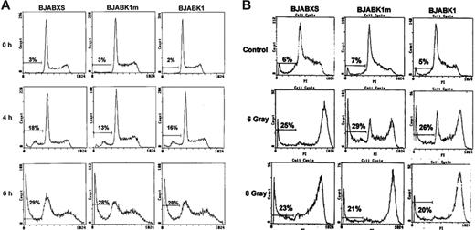 Figure 4. Expression of K1 in BJAB cells does not inhibit TRAIL-induced or irradiation-induced apoptosis. (A) BJAB transfectants were treated with 50 ng/mL TRAIL for 4 and 6 hours, fixed, stained with propidium iodide for DNA content, and analyzed by flow cytometry. The number of cells containing subdiploid DNA is indicated by the curve under the horizontal bar at the left of each panel. The percentage of apoptosis in BJABK1, BJABK1m, and BJABXS cells was similar at these intervals. Similar results were obtained in 2 independent experiments. (B) BJAB transfectants were irradiated at 6 or 8 Gy and then incubated for 24 hours, fixed, stained with propidium iodide (PI), and analyzed using flow cytometry. There were no differences in apoptosis rates of BJABK1 cells compared with those of BJABK1m and BJABXS cells. Similar results were obtained in 2 independent experiments.