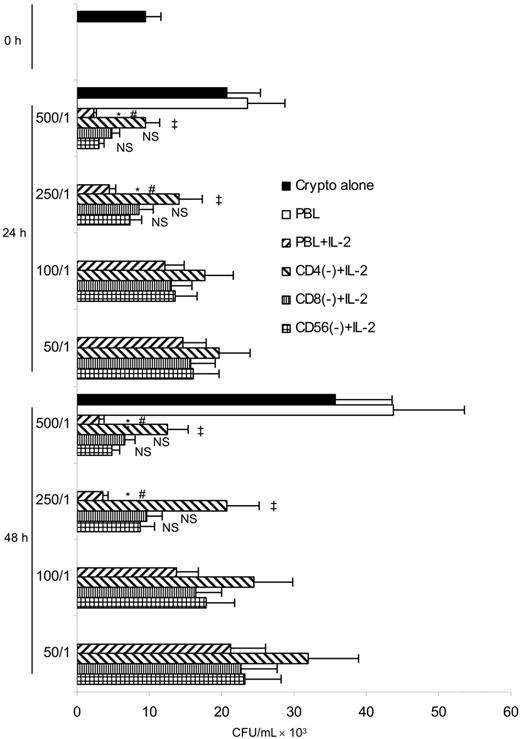 Figure 1. Anticryptococcal activity of IL-2–activated PBLs was due to CD4+ T cells. PBLs were cultured with or without IL-2 for 7 days and activated PBLs were depleted of CD4+ T cells, CD8+ T cells, or NK cells by magnetic separation. C neoformans was incubated with PBLs at different E/T ratios or PBLs depleted of CD4+ T cells (CD4(−)), CD8+ T cells (CD8(−)), or NK cells (NK(−)) for 24 or 48 hours. The number of C neoformans (CFU) was determined in each group. Results are expressed as mean ± SEM. *P < .05 compared with the inoculum; #P < .01 compared with the number of C neoformans alone at 24 or 48 hours; ‡P < .05 compared with the number of C neoformans in the presence of IL-2–stimulated PBLs; NS, no significant difference, compared with the number of C neoformans in the presence of IL-2–stimulated PBLs. Data are representative of 2 independent experiments.