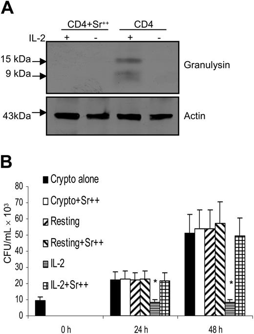Figure 3. Depletion of granules containing granulysin abrogated the anticryptococcal activity of IL-2–activated CD4+ T cells from healthy adults. (A) CD4+ T cells were activated with IL-2 (+) and treated with SrCl2 (Sr++). (B) IL-2–activated CD4+ T cells were treated with SrCl2, and the number of C neoformans was determined as indicated. Results are expressed as mean ± SEM. *P < .01 compared with the number of C neoformans alone. Data are representative of 3 independent experiments.