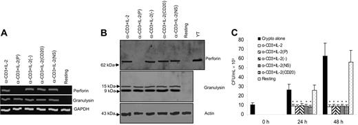 Figure 6. Granulysin-mediated anticryptococcal activity did not require perforin to function. (A) Perforin or granulysin steady-state mRNA was assessed by RT-PCR from resting CD4+ T cells, activated cells sham electroporated without siRNA (−), and activated cells electroporated with perforin siRNA (P), CD20 siRNA (CD20), or nonspecific siRNA (NS). (B) Granulysin and perforin were detected by Western blot. (C) Activated and treated CD4+ T cells were incubated with C neoformans, and the anticryptococcal activity was assessed. Results are expressed as mean ± SEM. *P < .01 compared with the number of C neoformans alone at 24 or 48 hours. Data are representative of 3 independent experiments.