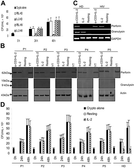 Figure 8. Activation of PBLs and CD4+ T cells from HIV-infected patients is dysregulated and the anticryptococcal activity is defective. (A) PBLs from a healthy donor (HD) and HIV-infected patient (HIV) were activated with IL-2, and the inhibition of number of C neoformans was determined as indicated. *P < .01 compared with the number of C neoformans alone at 24 or 48 hours. Data are representative of 2 independent experiments. (B) CD4+ T cells from HIV-infected patients were activated with IL-2 or anti–CD3 + IL-2. Expression of perforin and granulysin was assessed by Western blot. P1 to P5 stand for patients 1 to 5. Data are shown from 5 patients in 5 independent experiments. (C) CD4+ T cells from HD or HIV-infected patients were activated with IL-2 or anti–CD3 + IL-2. Granulysin or perforin steady-state mRNA was assessed by RT-PCR. Result from 1 of the 2 representative patients was shown. (D) CD4+ T cells were activated with IL-2, and the inhibition of number of C neoformans was determined at 0, 24, or 48 hours. HD indicates healthy donors. Results in panels A and D are expressed as mean ± SEM. *P < .01 compared with the number of C neoformans alone. Data are shown from 5 patients in 5 independent experiments.