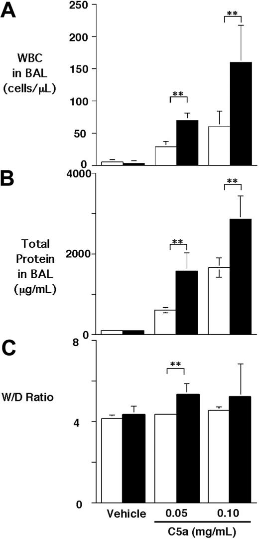 Figure 1. C5a-induced alveolitis in WT and proCPB−/− mice. C5a at 2 concentrations or saline control (vehicle) were instilled endotracheally in WT (□) or proCPB−/− (▪) mice. Six hours later, BAL was performed, and total WBC counts (A) and total protein contents (B) in the BAL fluids were determined. (C) The wet-to-dry weight ratio of the right upper lobe was determined as described in “Materials and Methods” (n = 6 in each group; ** P < .05). Data are presented as mean ± SD.
