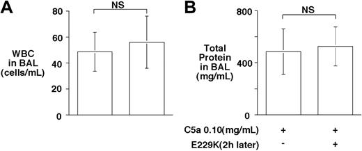 Figure 5. Delayed administration of E229K thrombin did not rescue C5a-induced alveolitis in WT mice. E229K thrombin or saline control was administered intravenously 2 hours after the initiation of C5a (0.10 mg/mL) induced alveolitis in this study (n = 6 in each group). Data are presented as mean ± SD.