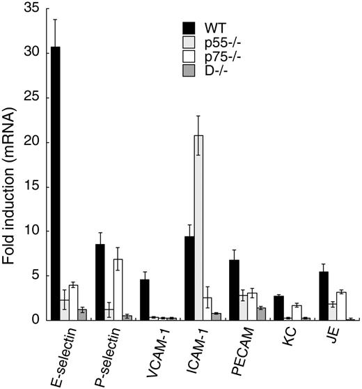 Figure 1. Relative importance of p55 and p75 in the induction of leukocyte-EC adhesion molecules. (A) Quantitative real-time PCR was performed using total RNA (1 μg) isolated from TNF-α–treated or untreated cultured mouse aortic ECs isolated from WT, p55−/−, p75−/−, or D−/− mice. PCR reactions were performed with specific primer pairs corresponding to the specific genes of interest. RPL-32 (a TNF-α nonresponsive gene) served as an internal control to ensure the quality and efficiency of the PCR. Each value represents the average of 4 independent experiments. Error bars represent SD.