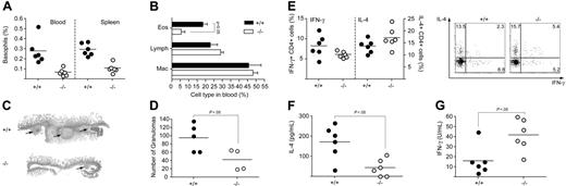 Figure 3. IL-21R signaling is required for Th2 responses against Heligmosomoides polygyrus. C57BL/6 and IL-21R–deficient mice were infected by oral gavage with H polygyrus. On day 14 after infection, (A) the proportion of basophils in the blood and spleen were determined by FACS analysis. (B) The proportion of eosinophils circulating in the blood was determined by differential cell counts of blood smears. Data show averages ± SD of a representative experiment using 5 to 6 mice per group. (C) H&E staining of intestinal sections with granuloma indicated by arrows. (D) Granulomas were counted under a dissecting microscope. Splenocytes were cultured for 3 days in the presence of HES, followed by a short restimulation with PMA and ionomycin. (E) The proportion of CD4+ T cells producing IFN-γ and IL-4 was determined by intracellular cytokine staining and FACS analysis. (F) IL-4 and (G) IFN-γ from supernatant of the sample cultures were measured by ELISA. Similar results were obtained in a repeat experiment. (D-G) Circles indicate data of individual mice, and horizontal bars indicate averages of a group.