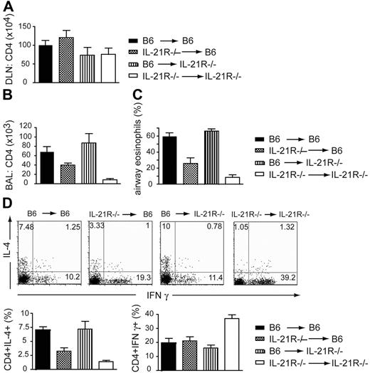 Figure 6. The absence of IL-21R on hematopoietic cells is primarily responsible for impaired Th2 immune responses in the lung. Reconstituted bone marrow chimeras were immunized intraperitoneally with OVA adsorbed in alum adjuvant, followed 10 days later by intranasal challenge with OVA on 4 consecutive days. Two days after the final challenge, the number of CD4 T cells in (A) DLN and (B) BAL was determined by FACS analysis. (C) Eosinophils that had infiltrated into the airways were determined by differential counts. (D) The proportion of CD4+ T cells producing IL-4 and IFN-γ was determined after PMA/ionomycin restimulation by intracellular cytokine staining and FACS analysis. Column plots indicate averages ± SD of a representative experiment using 4 mice per group.