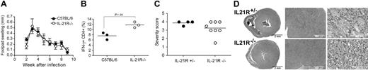 Figure 7. IL-21R–deficient mice exhibit a Th1 R−/− response following infection with Leishmania major and Th 17-mediated protection from autoimmune myocarditis. (A,B) C57BL/6 and IL-21 (N5, C57BL/6) were infected with 2 × 106 promastigotes of L major in the hind footpad. (A) At the time points indicated, the course of disease was monitored using metric calipers to determine footpad swelling. (B) Three weeks after infection, the draining lymph node was removed and isolated cells were restimulated with PMA and ionomycin for 4 hours. IFN-γ production by CD4+ T cells was assessed by FACS. Values show percentage of IFN-γ–producing cells, gated on CD4+ cells. Data are from a representative experiment using 3 to 5 mice per group. (C,D) IL-21R−/− (N4, BALB/c) and littermate control IL-21R+/− mice were immunized with α-myosin-peptide in CFA on days 0 and 7, and were killed 14 days later. Hearts were removed and fixed in 4% buffered formalin, and histological sections were evaluated. (C) The severity of inflammatory infiltrates were assessed and scored as described in “Materials and methods.” Horizontal lines represent the median value for each group. (D) Representative images of H&E-stained heart tissue. Original magnification, 15× (left column), 60× (middle column), and 400× (right column).