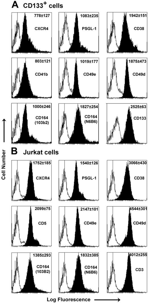 Figure 1. Phenotype analysis of CD133+ and Jurkat cells. Representative FACS histograms of CD133+ cells after 24-hour cytokine stimulation (A) and Jurkat cells (B) with antibodies (black peak) and relevant isotype controls (white peak). MFI ± SEM (n = 3) is shown for each antibody in the top right corner of the plot. CXCR4 surface expression was up-regulated on CD133+ cells after incubation with cytokines (from 15.1% ± 2.1% to 77.0 ± 3.6% CXCR4+, with MFI increasing from 234 ± 10.6 to 778 ± 127; n = 3). No significant alterations in 103B2 CD164 staining were observed before or after 24-hour cytokine stimulation (staining, 67% ± 4.5% to 69.4% ± 9.1%; MFI values, 1003 ± 121 to 1000 ± 246 (n = 3) for freshly isolated and 24-hour cytokine-stimulated cells, respectively). In separate dual-labeling experiments, 73.1% ± 6.4% of CD133+ cells coexpressed CXCR4 and the class II CD164 epitope on the surface after 24-hour cytokine stimulation (P = .41 for CXCR4 expression alone vs CXCR4 coexpression with CD164).
