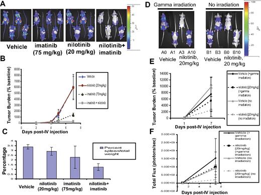Figure 7. In vivo effects of the combination of nilotinib (20 mg/kg) and imatinib (75 mg/kg) on BCR-ABL–expressing cells in a murine leukemia model. Influence of preirradiation on mouse responsivity to nilotinib. (A) Effects of vehicle, nilotinib alone (20 mg/kg), imatinib alone (75 mg/kg), or a combination of nilotinib and imatinib on growth of 32D.p210-luc+ cells in NCR nude mice. Mice were sublethally irradiated with a single fraction of 3 Gy followed by tail-vein injection of 800 000 cells/mouse. Images were taken on day 2, day 4, day 5, and day 7 after intravenous injection. On day 7 after intravenous injection, mice had received a total of 5 days of treatment with vehicle or drug. Mice were killed, weighed, and preserved for histopathologic analysis approximately 9 days after the last imaging day. Photo images show bioluminescence as seen on the last imaging day for representative mice. (B) Bioluminescence values plotted as percent of baseline for mice treated with vehicle, nilotinib alone (20 mg/kg), imatinib alone (75 mg/kg), or a combination of nilotinib and imatinib. Vehicle (n = 6), nilotinib alone (n = 4), imatinib alone (n = 6), nilotinib + imatinib (n = 5). (C) Percent spleen weights for 32D.p210-luciferase–injected NCR nude mice treated with nilotinib alone (20 mg/kg), imatinib alone (75 mg/kg), or a combination of nilotinib and imatinib. (D) Investigation of effects of gamma irradiation prior to intravenous injection of 32D.p210-luc+ cells on leukemia growth and nilotinib responsiveness. Mice were divided into 2 groups of 4: One group was sublethally irradiated with a single fraction of 3 Gy prior to being intravenously injected with 600 000 32D.p210-luc+ cells. The other group was not irradiated prior to cell injection. Both groups were then treated for a total of 6 days with either vehicle or nilotinib (20 mg/kg); final images were performed on postinjection day 7. Photo images show bioluminescence as seen on the last imaging day. (E) Bioluminescence values plotted as percent of baseline for mice treated with vehicle or nilotinib alone (20 mg/kg). Vehicle (n = 4), nilotinib alone (n = 4). (F) Raw bioluminescence values. Error bars indicate SEM.
