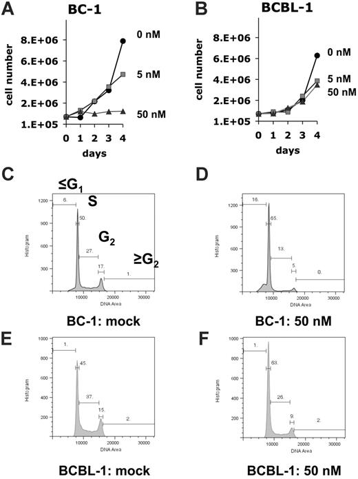 Figure 2. Response to rapamycin in cell culture. (A) BC-1 or (B) BCBL-1 cells were seeded in medium containing the indicated concentrations of rapamycin. Plotted is the cell number on the vertical axis and time after seeding on the horizontal axis. This data represents 1 of 2 biologic replicates. (C-F) Cell-cycle analysis using propidium iodide stain at 4 days after exposure to 50 nM rapamycin or mock. In each panel plotted on the horizontal axis is the relative DNA content and on the vertical axis the number of cells. Also shown is the percentage of cells with ≤ G1, G1, S, G2 and ≥ G2 DNA content for each of the indicated cell lines and conditions.