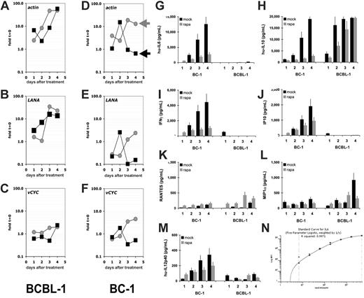 Figure 4. Rapamycin does not affect KSHV transcription but cellular cytokine levels. Shown for each panel A to F on the vertical axis are fold changes relative to mRNA levels at t = 0 on a log10 scale and on the vertical axis days after addition to 50 nM rapamycin or vehicle control (mock). Rapamycin-treated cultures are represented by black squares, mock-treated cultures by gray circles. The results of rapamycin-resistant BCBL-1 cells are shown on the left column and of rapamycin-sensitive BC-1 cells on the right column. Individual panels refer to mRNA levels for the mRNAs actin, LANA, and vCYC. LANA refers to the latency-associated nuclear antigen (orf73) and vCYC to the viral cyclin homolog orf72. Shown for each panel are the concentrations in picogram per milliliter for the indicated cytokines in the vertical axis and time after addition of rapamycin (▪) or vehicle (⊡) on the horizontal axis for the cell lines BC-1 and BCBL-1: (G) hu-IL-6, (H) hu-IL-10, (I) IFN-γ, (J) IP-10, (K) RANTES, (L) MIP-1α, (M) IL12p40. These data represent 1 of 2 biologic replicates. Panel N shows a representative (IL-6) standard curve.